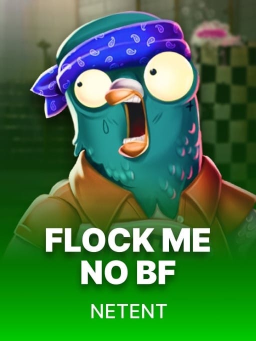 Flock Me No BF game cover